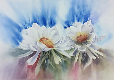 Brahmakamal