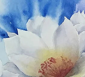 Brahmakamal Brahmakamal
