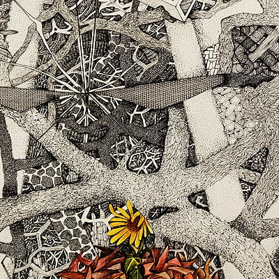 Entangled belief-1 Entangled belief-1