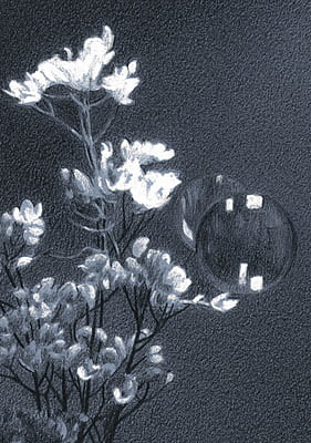 Still life-2 Still life-2