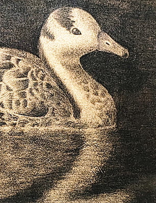 The Grey Swan The Grey Swan