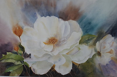 White and pink flowers